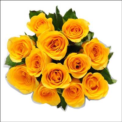 "12 yellow roses flower bunch - Click here to View more details about this Product